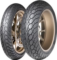 160/60ZR17 69W M+S MUTANT